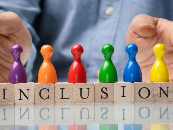 Inclusie inclusion